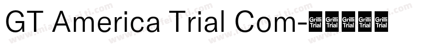 GT America Trial Com字体转换